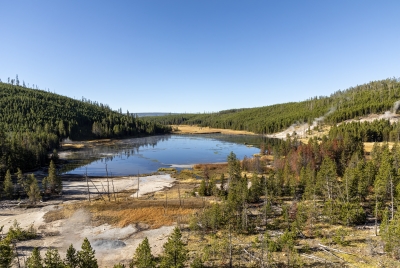 Nymph Lake Yellowstone NP 2024